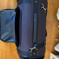 【お値段下げました
】ペット用キャリーバッグの画像