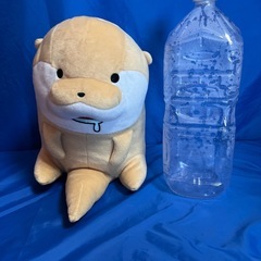 こめってぃぬいぐるみ