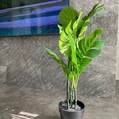 IKEA 人工観葉植物