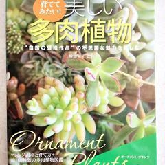 決まりました！育ててみたい美しい多肉植物