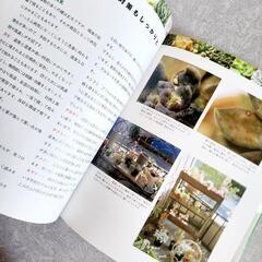 決まりました！育ててみたい美しい多肉植物の画像