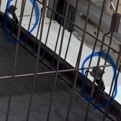 犬用サークル　　屋根無しの画像
