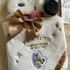 処分値下げ‼️USJスヌーピー壁掛けの画像