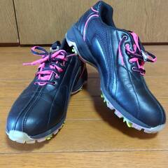 ゴルフシューズ　mizuno 24センチ　レディースの画像