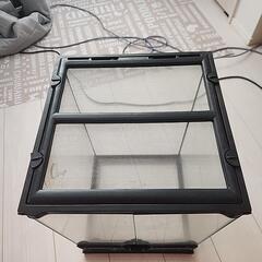 エキゾテラ　　ケージ　3045の画像