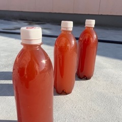 PSB 500ml