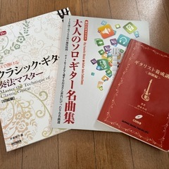 【ケース・付属品あり】クラシックギター Antonio Sanchezの画像