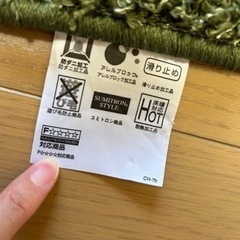 ラグ