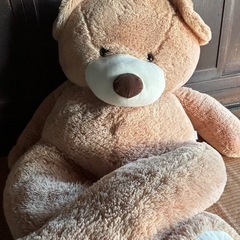 くまのぬいぐるみ🐻