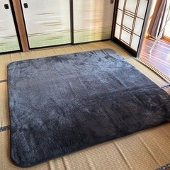 ニトリ　ラグ　Nウォーム