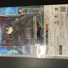SAO Switch ソフトの画像