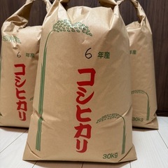 令和6年9月収穫したて新米
郡上産コシヒカリ
