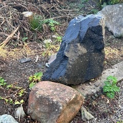 庭石（引き取り限定）