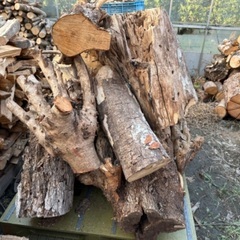 【格安】訳あり玉切り　約250〜300kg程度の画像