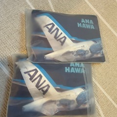 ANA ハワイ フライングホヌ プレエコ アメニティ　ポーチ　✖️2個