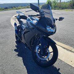 Kawasaki NINJA250R
EX250K - A202の画像