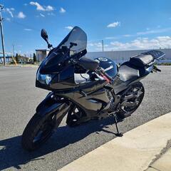 Kawasaki NINJA250R
EX250K - A202