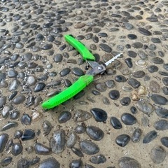 根を取る工具あげますの画像