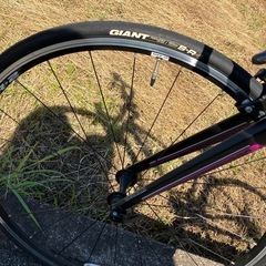 GIANT LIV　ロードバイク(スタンド付き)の画像