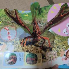 チャイルドブックゴールド「みんなともだち」12冊　幼児教育絵本　年中用の画像