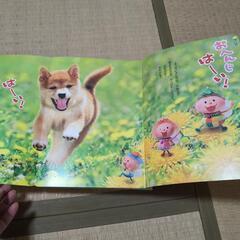 チャイルドブック　ジュニア　幼児教育絵本　12冊　年少用の画像