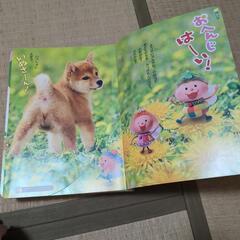 チャイルドブック　ジュニア　幼児教育絵本　12冊　年少用の画像