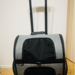 エアバギー　ペットキャリー美品
