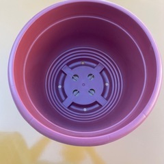 値下げ☝️【定価¥200】未使用品ダイソーの画像