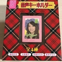 AKB48音声キーホルダーの画像
