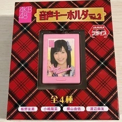 AKB48音声キーホルダーの画像