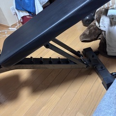 NIHOLI可変式ダンベル 40kg×2の画像