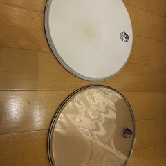 スネアヘッド