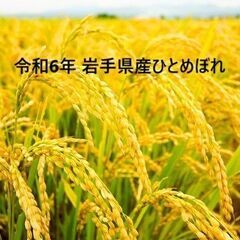 お米　令和６年産　農家保有米ひとめぼれ　１キロ単位