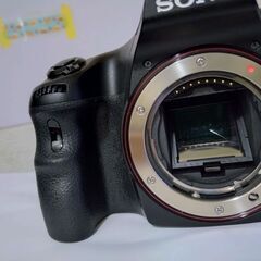  SONY ミラーレス一眼 α65 ボディ SLT-A65V （...