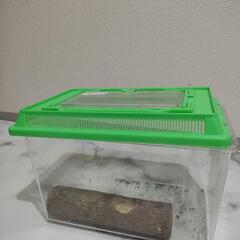 カブトムシ・クワガタ飼育用ケース、くぬぎ育成マット、木