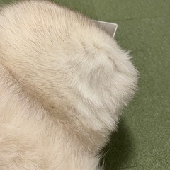 成人式　ショール　毛皮　フォックスの画像