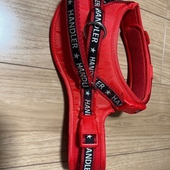 わんちゃん用ハーネスＭサイズ➕リードの画像