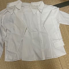 白シャツ3枚