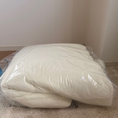 【差し上げます】受け渡し決定です。敷布団100*210 アイリス...