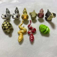 はちゅこっと3