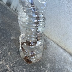 スネークの画像