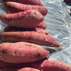 サツマイモ　　紅はるか　5 kg   900¥   の画像