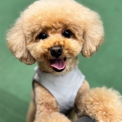 犬友さん募集🐾