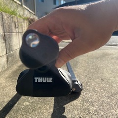 スーリーキャリアの画像