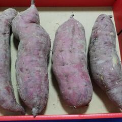 紅はるか　2.8キロ　芋大好きな方へ
