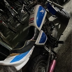 エイプ50の画像