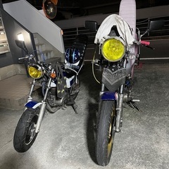 エイプ50の画像