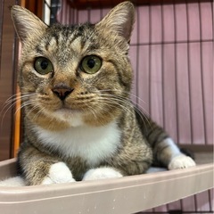 まん丸顔の靴下履いてる可愛いトワ君