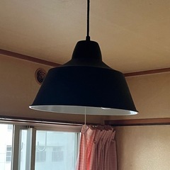 決まりました　照明器具その2の画像
