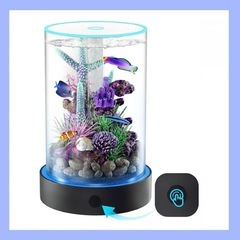 メダカ セット 水槽 金魚 アクアリウム: HOPFFP New...